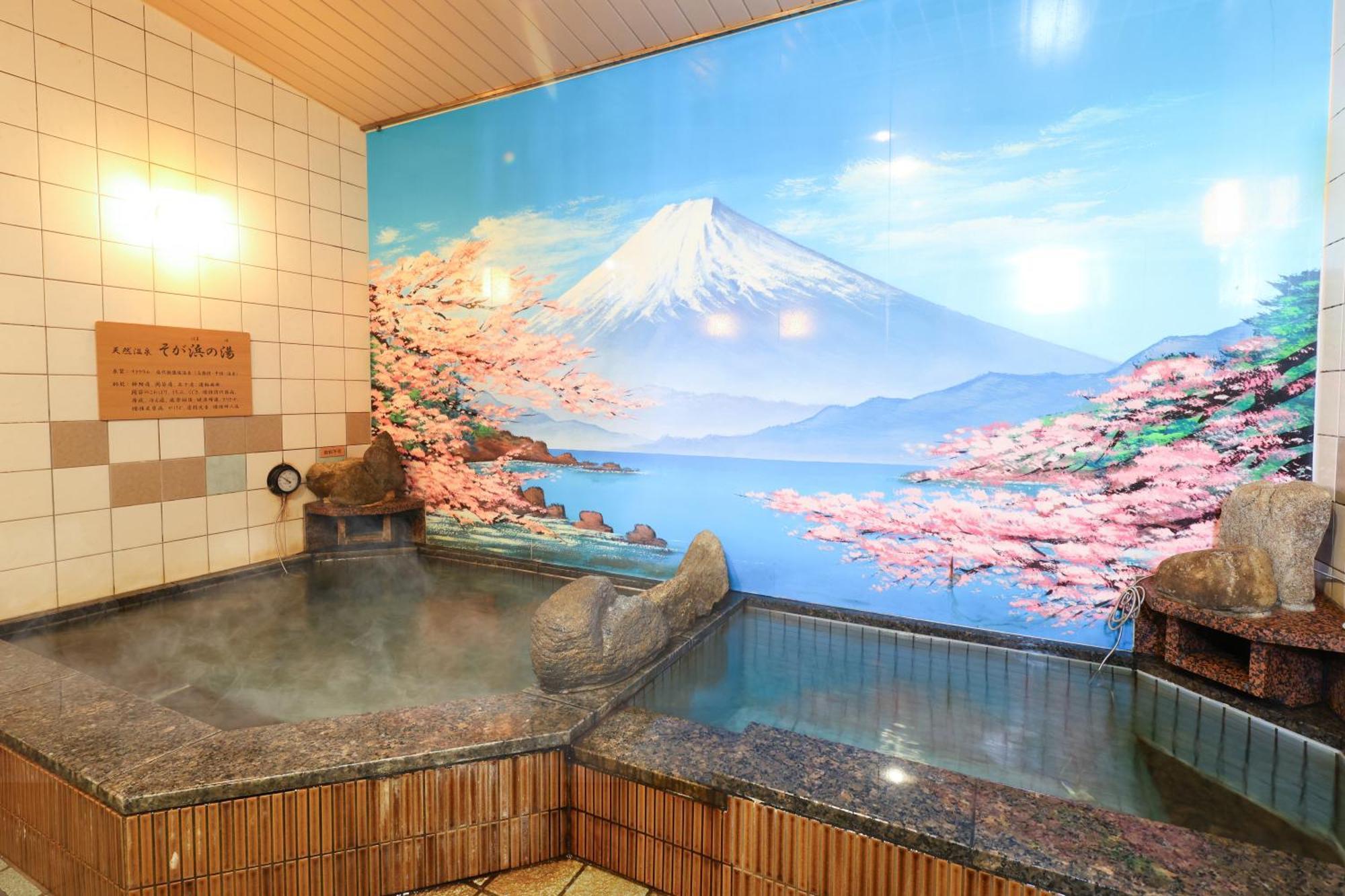 Dormy Inn Chiba City Soga Dış mekan fotoğraf